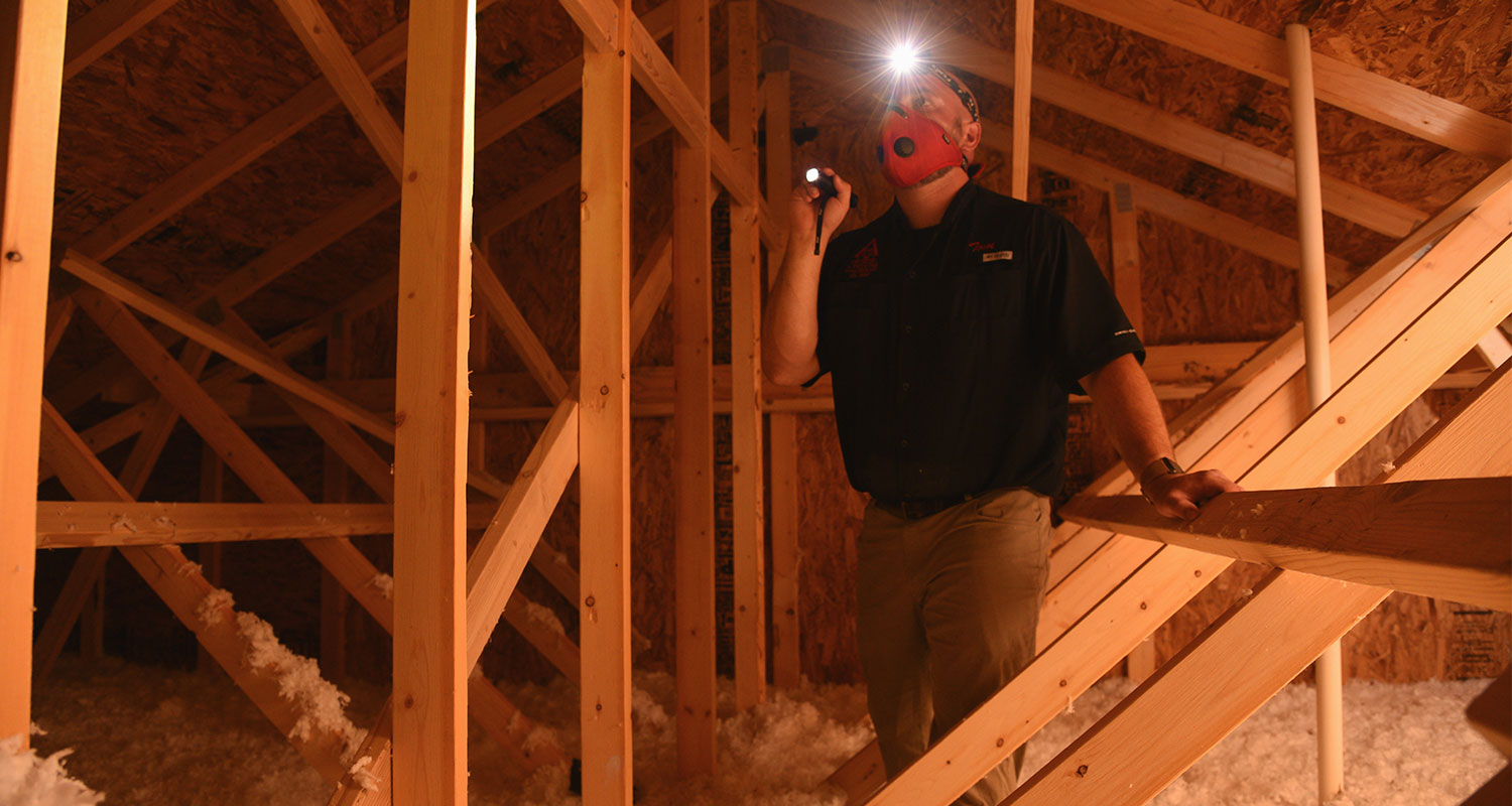 Tom, Inspecting the attic of a home in Colorado Springs